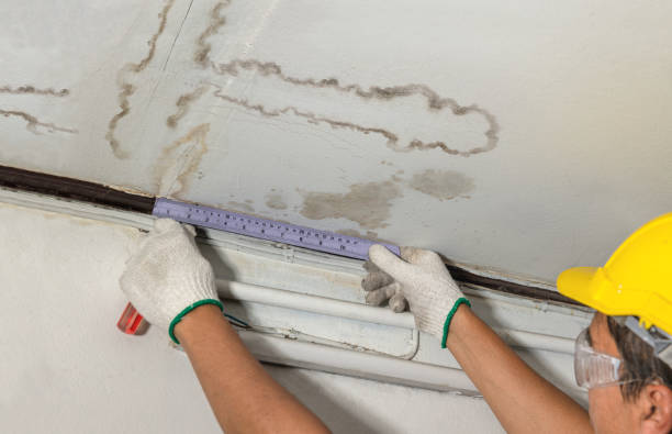 Reliable Sewage Cleanup contractor in Portland, MI by Local Water Damage Repair